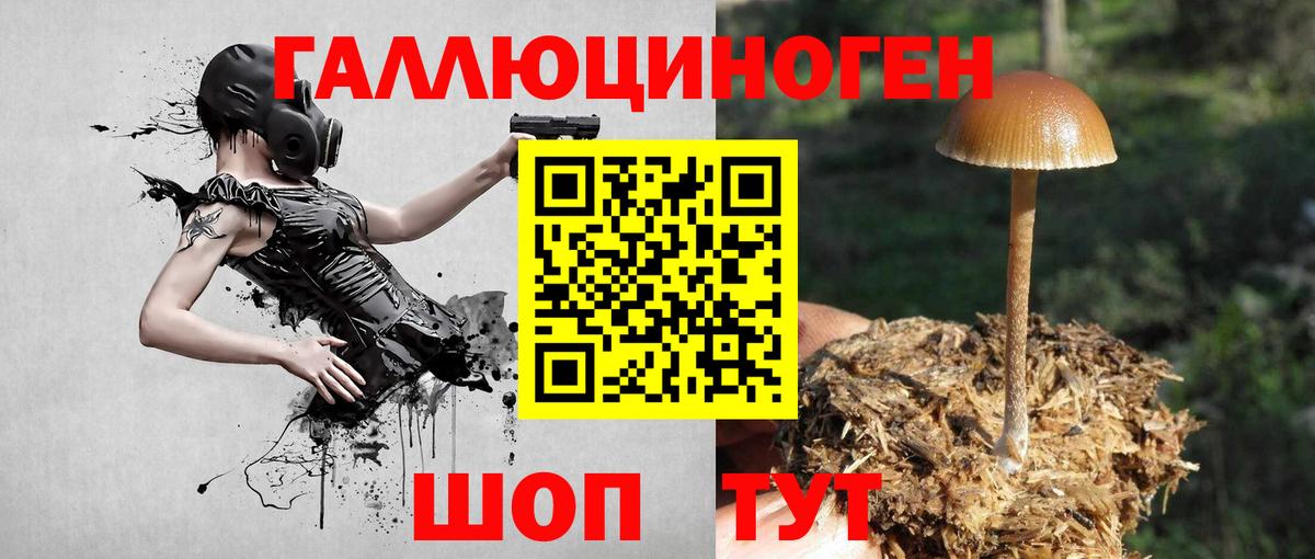 Тольятти  Псилоцибиновые грибы мицелий  Псилоцибиновые грибы мицелий  Вход с VPN 