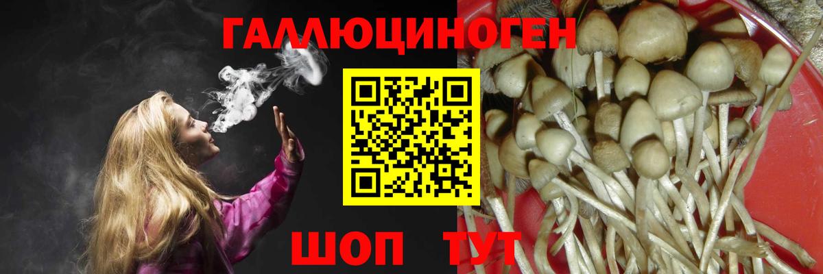 Псилоцибиновые грибы MAGIC MUSHROOMS Тольятти